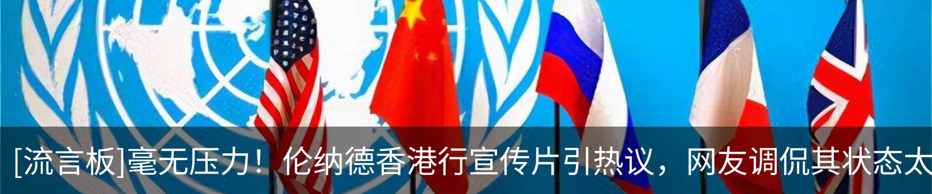 新闻动态